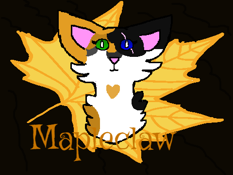 My new OC (StarClan's Will)