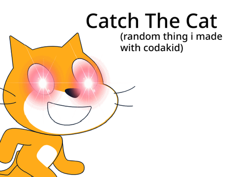 catch the cat q-q