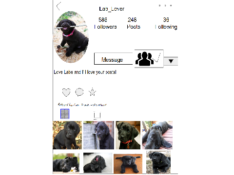 Enjoy Insta While On Scratch!!!