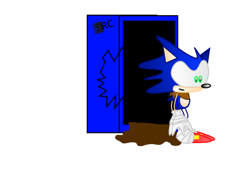 Sonic Recovery Center is still working.