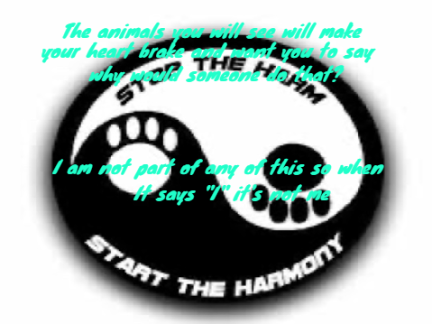 Look at what needs fixing in the world 1