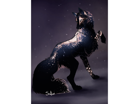 Midnight in wolf form