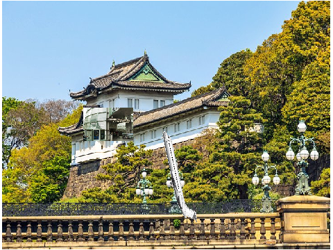 Insigma Airways: Tokyo, Japan