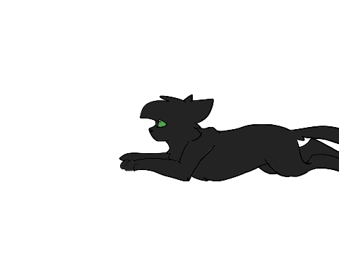 Echo-Hollyleaf map INTRO