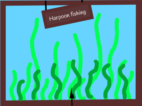 Harpoon Fishing