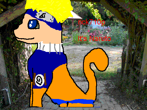 CONTEST!!! ANIME CAT!!!I did two!!!