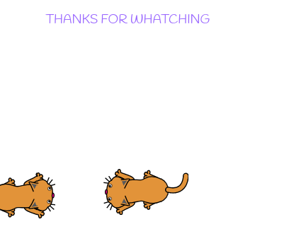 who will get the mouse?