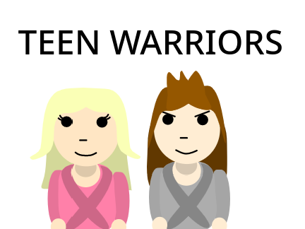 Teen Warriors The series