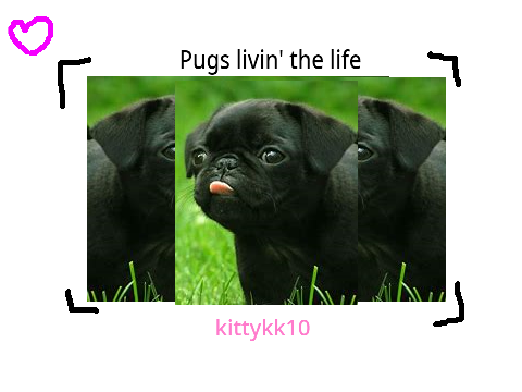 Pug project
