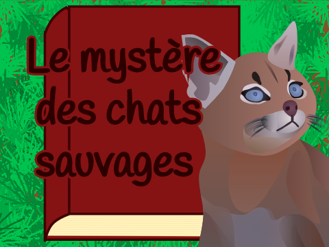Le Mystère Des Chats Sauvages ▪️ Prologue ▪️ Chapitre1 ▪️ Chapitre 2 ▪️ Chapitre 3 ▪️ Chapitre 4