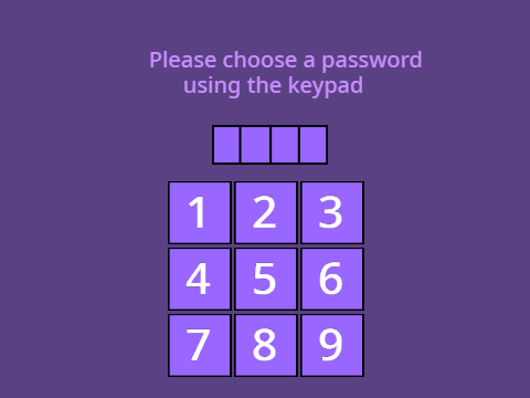 Password numpad