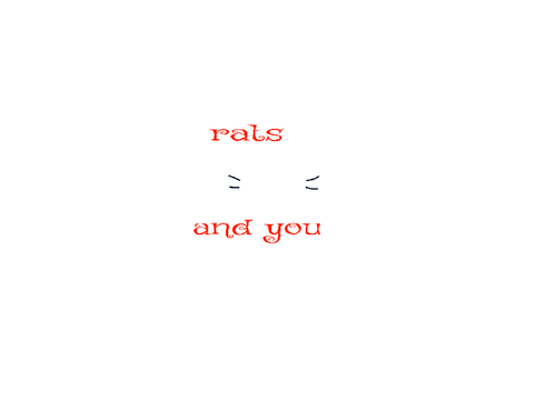 rats | and you
