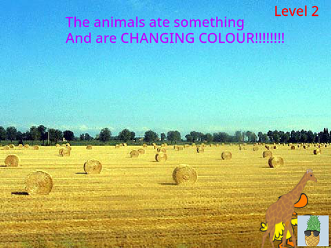 help the Zoo :]