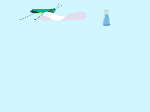 Grasshopper