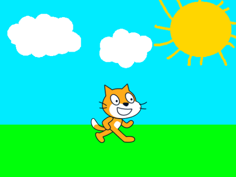 The Cat Show