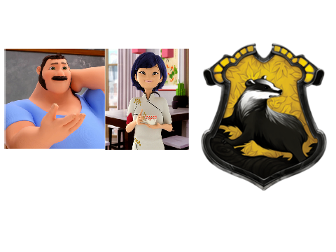 Miraculous Ladybug Characters Sorted Into Hogwarts Houses Houses