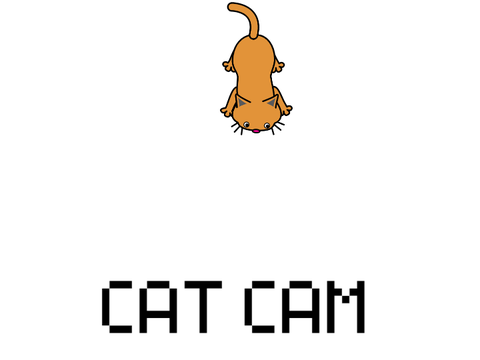Cat Cam Alarm
