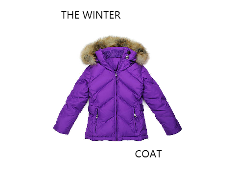 The Winter Coat