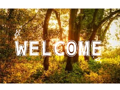 ~☆~WELCOME!~☆~