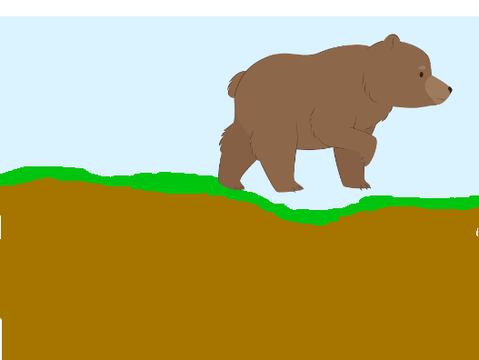 Bear attack