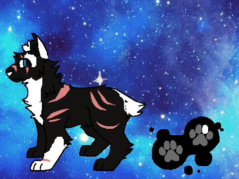Cloudshade// Thunderclan