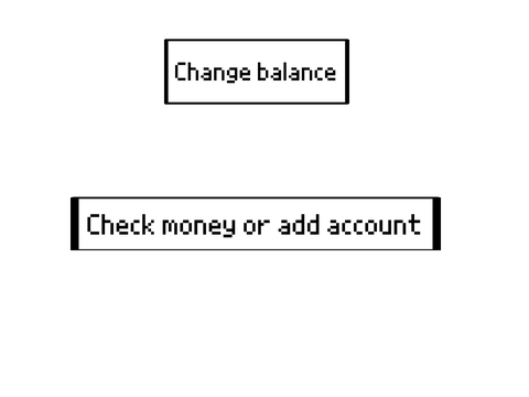 Money Manager