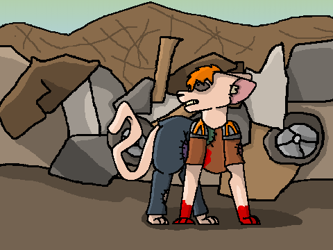 The Junkyard Vista