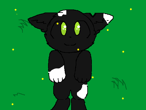 introducing,,, le beautiful boyo Sage