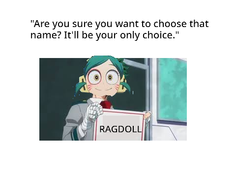 MEME #11
