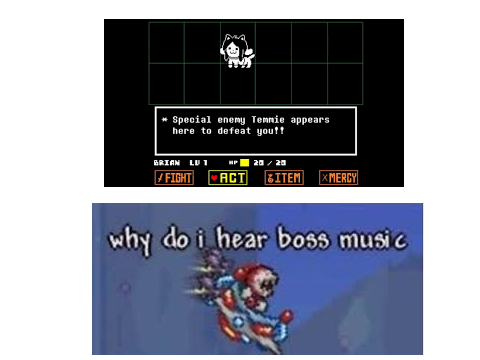 MEME #12