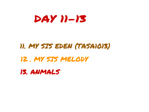 DAY 11-13