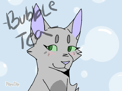 11 | Bubble Tea 