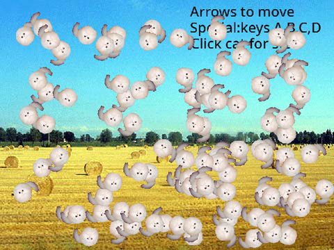 Cat in a field 