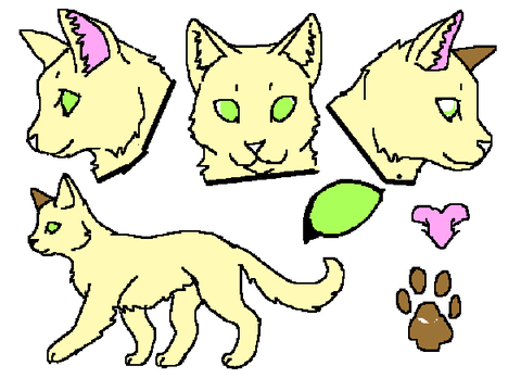 Five Clans RP - Cat Reference Sheet- Belladonna
