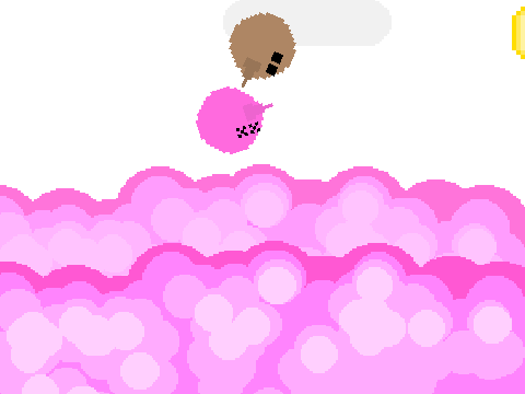 Flying in the Sky