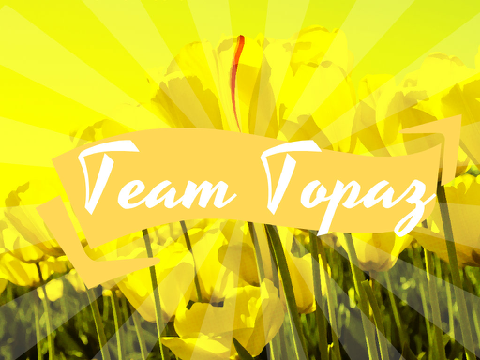 Team Topaz wallpaper
