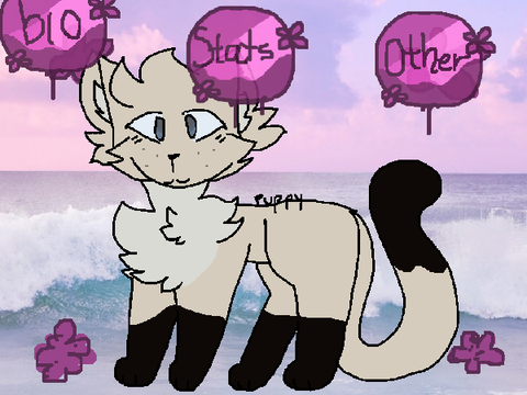 ✵ Deltaclan ✵ Ref Sheet ✵ Dawnheart