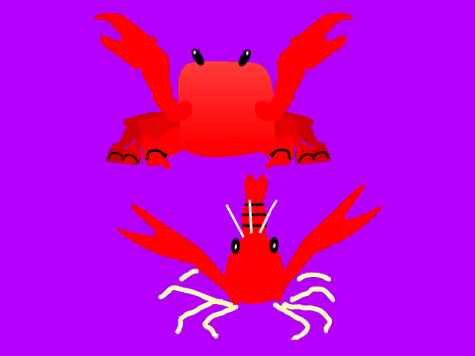 Crustacean Crash NEWS!