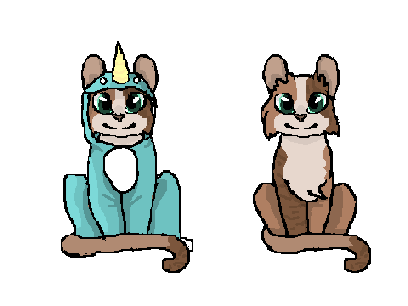 Poolpaw