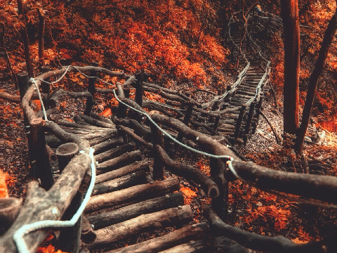  ❦