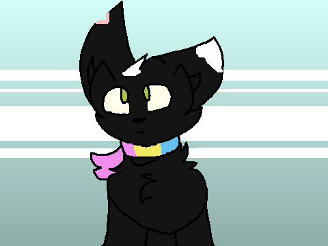 sage ~ sweater weather 
