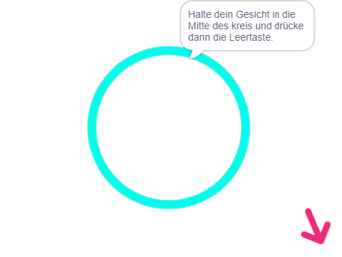 Gesichtsverfolgung beta