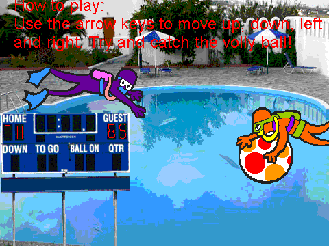 Vollyball