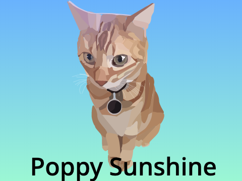 ˜”*°• Poppy Sunshine •°*”˜