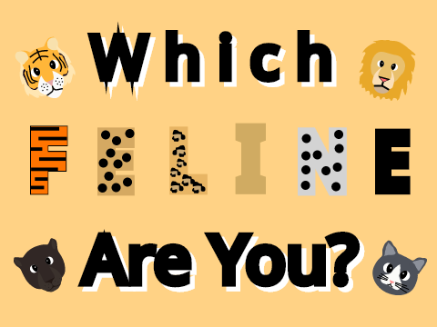 Which Feline Are You?