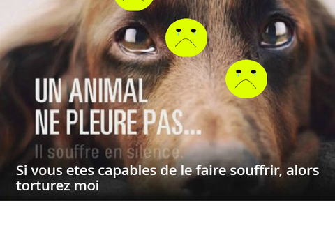 remixez et notez votre nom ceux qui sont contre la maltraitance remix remix