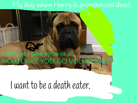 My dog and Harry Potter.
