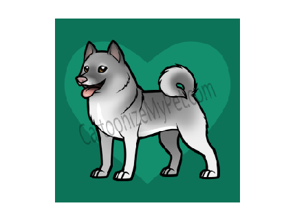 Shilo (Needs Adoption)