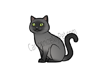 Sylvester ( Needs Adoption)