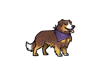 Roaster ( Adopted)